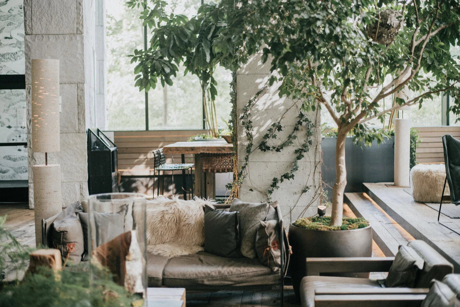 A sunlit hotel lounge: a leather sofa with sheepskin and grey cushions, a tree in a dark planter, ivy climbing a pale stone pillar and tall windows behind.